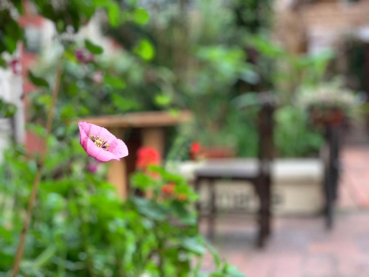 קואנקה Hostal Yakumama מראה חיצוני תמונה