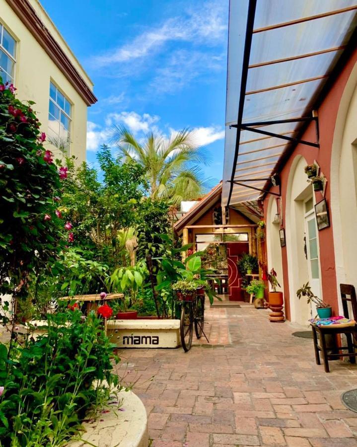 קואנקה Hostal Yakumama מראה חיצוני תמונה